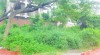 Basundhara Riverview 3 Katha Plot Sale